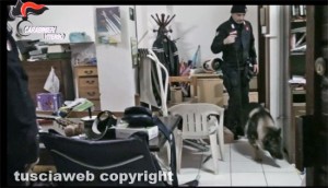 Viterbo - Carabinieri