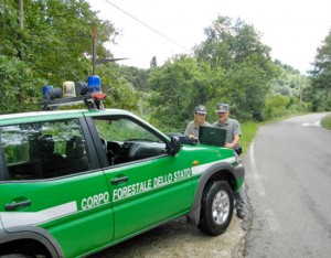 Forestale in azione