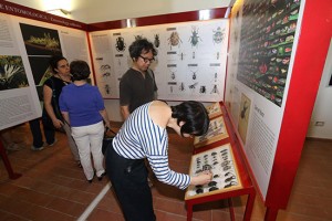 L'inaugurazione del Sistema museale di ateneo