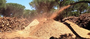 Tarquinia - Interventi in località Spinicci
