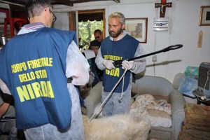 Barbarano Romano - L'intervento della Forestale al canile abusivo