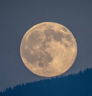 Moon strip