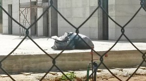 Bagnaia - Lavori fermi al parco delle querce