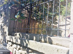 Viterbo - Officina dei fiori senza più i banner dopo gli atti vandalici