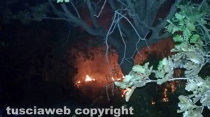 L'incendio boschivo ad Allumiere