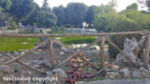 Viterbo - Frutta vicino al laghetto di Prato giardino Lucio Battisti