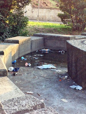 Viterbo - Rifiuti nella fontana a sfera del Murialdo