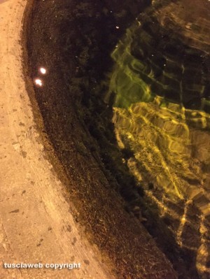 Viterbo - La fontana di piazza della Morte