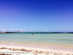 Fuerteventura, isola delle Canarie