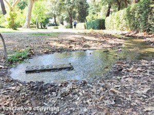 Viterbo - Degrado a pratogiardino Lucio Battisti