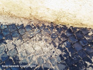 Viterbo - Via del Giglio - Escrementi di piccione