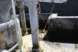 Fontana grande deturpata - Partiti i lavori
