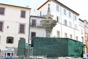 IMG_1096
