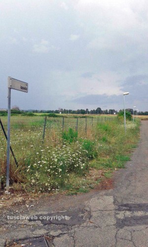 Tarquinia Lido - L'erba alta a via Ippalo