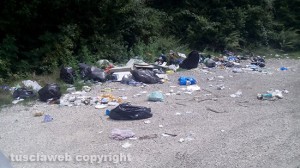 Il fontanile di Fiescoli tra erba altissima e immondizia