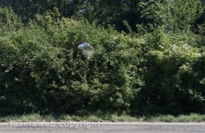 Viterbo - La situazione al terzo chilometro della strada provinciale Cimina
