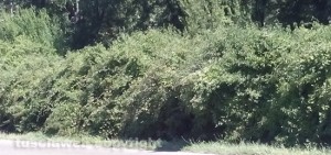 Viterbo - La situazione al terzo chilometro della strada provinciale Cimina
