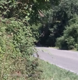 Viterbo - La situazione al terzo chilometro della strada provinciale Cimina