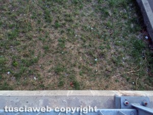 Viterbo - Il cavalcavia da cui è stato gettato il carrello - Il luogo dove presumibilmente è caduto