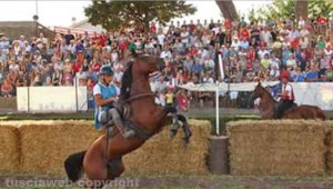 Il palio di Valentano