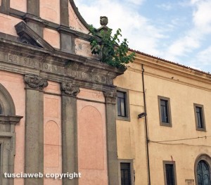 Viterbo - Piazza Fontana Grande - Erbacce sull'ex tribunale