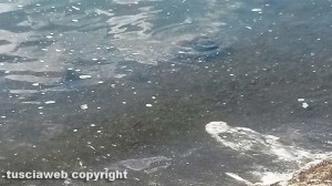 Montefiascone - Schiuma nel lago