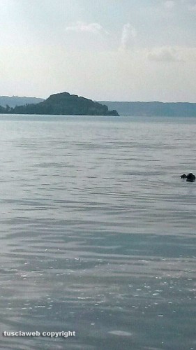Montefiascone - Schiuma nel lago