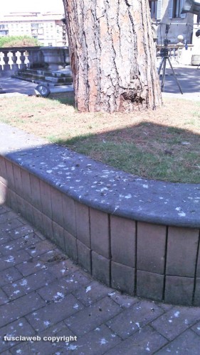 Viterbo - Le condizioni in cui versa il giardino di Palazzo dei Priori 