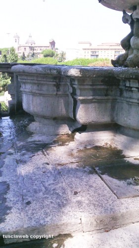 Viterbo - Le condizioni in cui versa il giardino di Palazzo dei Priori 