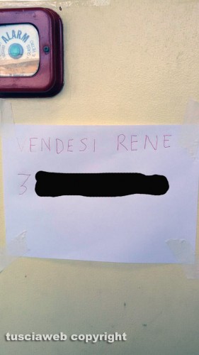 Viterbo - Ospedale Belcolle - Il cartello "Vendesi rene"
