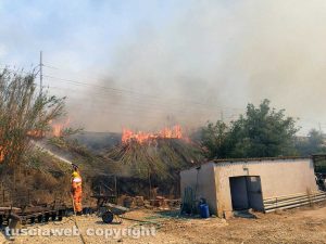 Montalto di Castro - Nuovo incendio vicino l'Aurelia