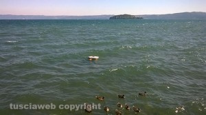 Marta - La pompa galleggiante della fontana sul lago