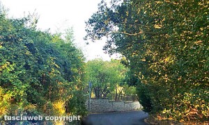 Viterbo - Strada del Cuculo