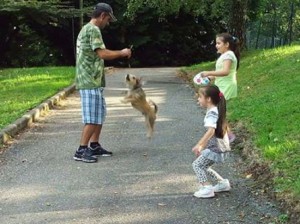 Il cane Pippo e la sua famiglia in Svizzera