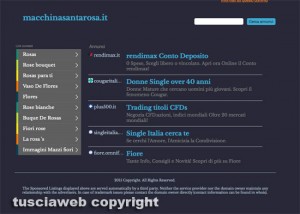 Macchina di santa Rosa - Il link dal sito internet del comune