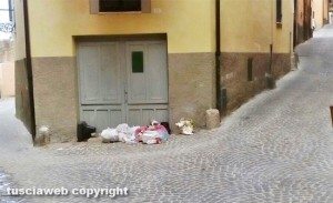 Canino - Rifiuti tra via Concordia e via Legnano