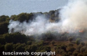 Montefiascone - Uno degli incendi di domenica