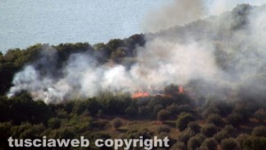 Oliveto in fiamme