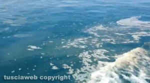 Lo sversamento nel lago di Bolsena
