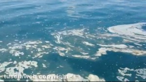 Lo sversamento nel lago di Bolsena