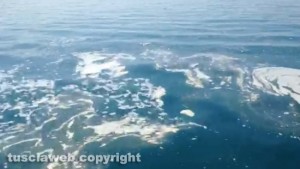 Lo sversamento nel lago di Bolsena