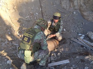Orte - Gli artificieri dell'esercito