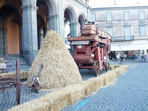 Acquapendente - Civiltà contadina