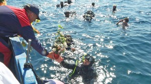 Omaggio floreale alla Madonna dello Speronello