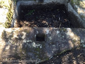 La pestarola della Palanzana
