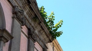 L'intervento dei vigili del fuoco a piazza Fontana grande