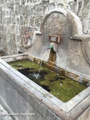 Viterbo - Via San Pellegrino - La melma nella fontana