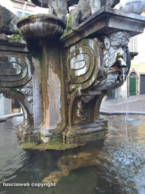Viterbo - Piazza delle Erbe - La melma nella fontana
