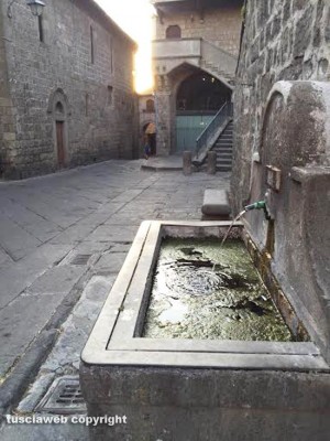 Viterbo - Via San Pellegrino - La melma nella fontana