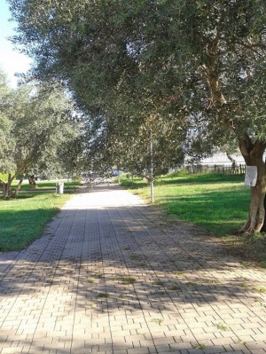 Viterbo - Santa Barbara - Parco della solidarietà